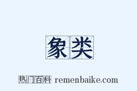 象类是什么意思的图片